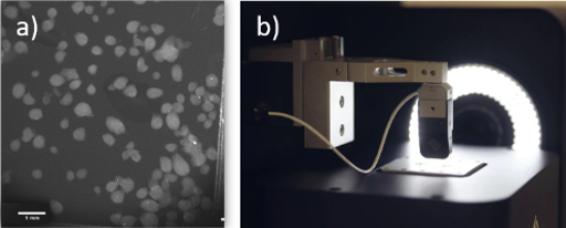 Image de microcapsule