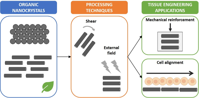 nanocristaux organiques