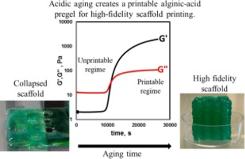 alginate