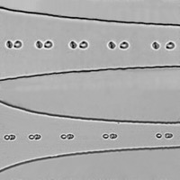 Dissociation d'agrégats dans une constriction hyperbolique