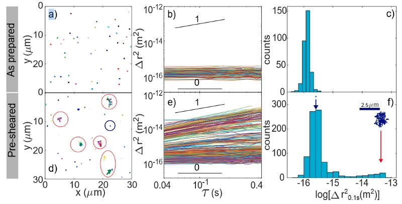 Example of microrheology results